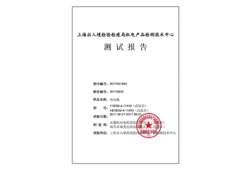 東鵬測試報告